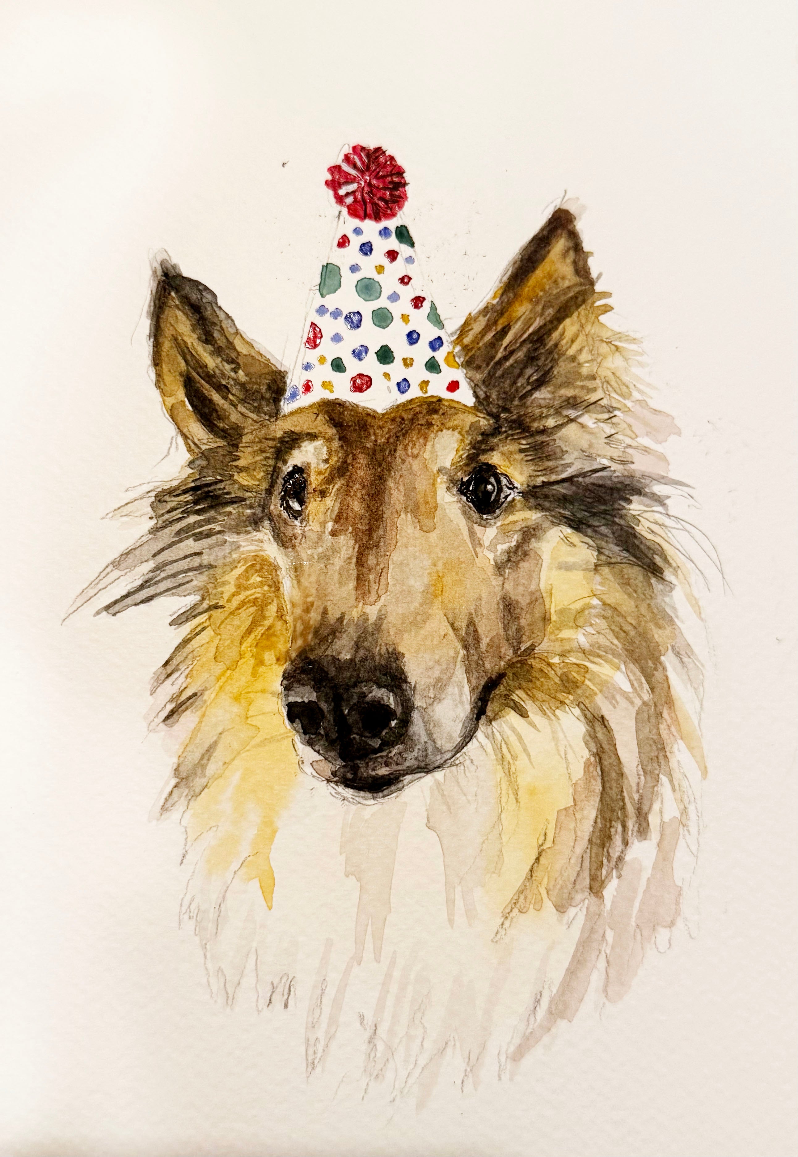 Watercolour and ink portrait of a rough collie dog wearing a polka-dot party hat with red pompom