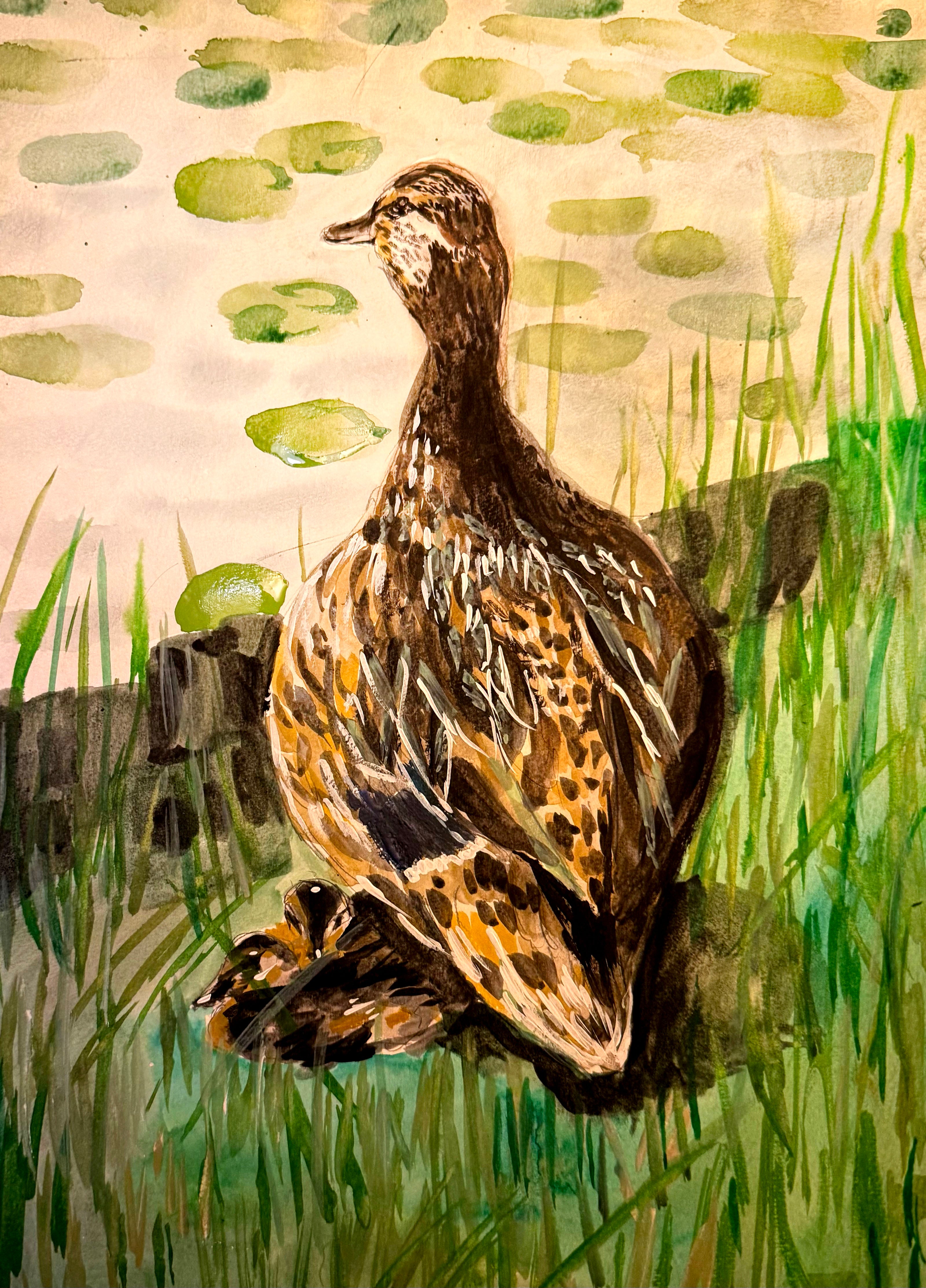 Watercolour and ink art print of a female mallard duck resting among green reeds with lily pads floating in the background