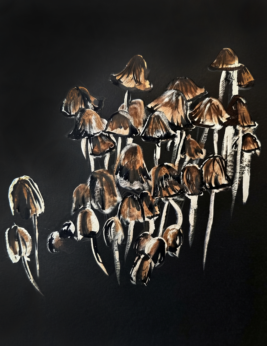 Watercolour and ink art print of a cluster of wild mushrooms with earthy brown caps and delicate gills on the forest floor