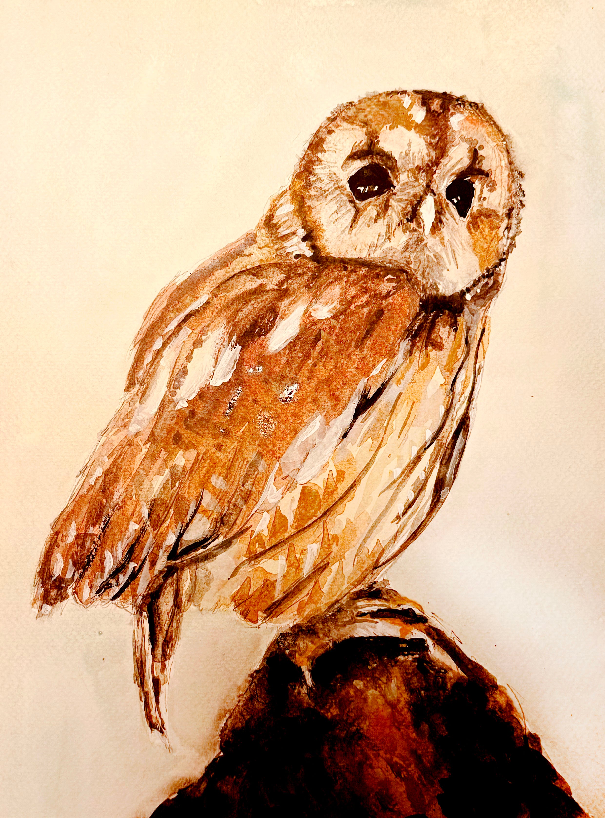 Watercolour art print of a tawny owl perched on a dark branch with rich brown and cream plumage and dark watchful eyes